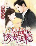 總裁誘妻成癮
